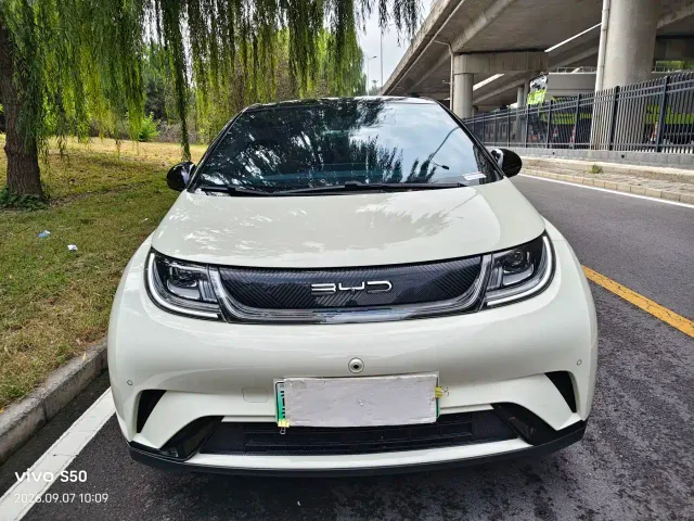 BYD Dolphin — Фото автомобиля 2