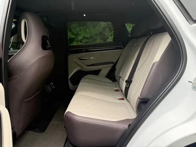 BYD Song PLUS — Фото автомобиля 18