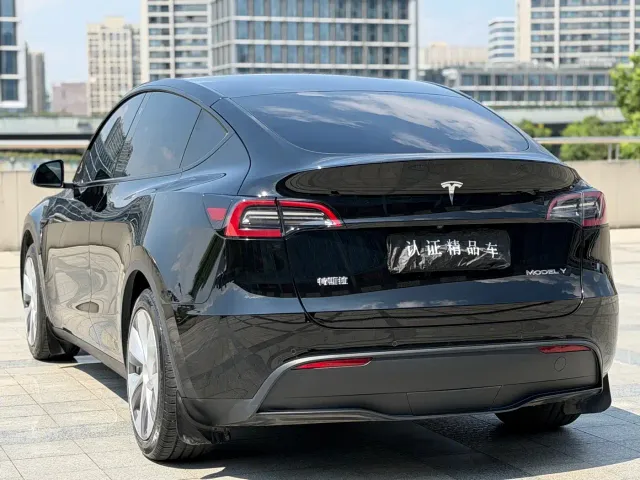 Tesla Model Y — Фото автомобиля 5