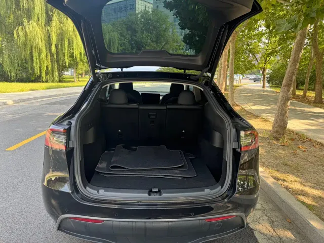 Tesla Model Y — Фото автомобиля 9