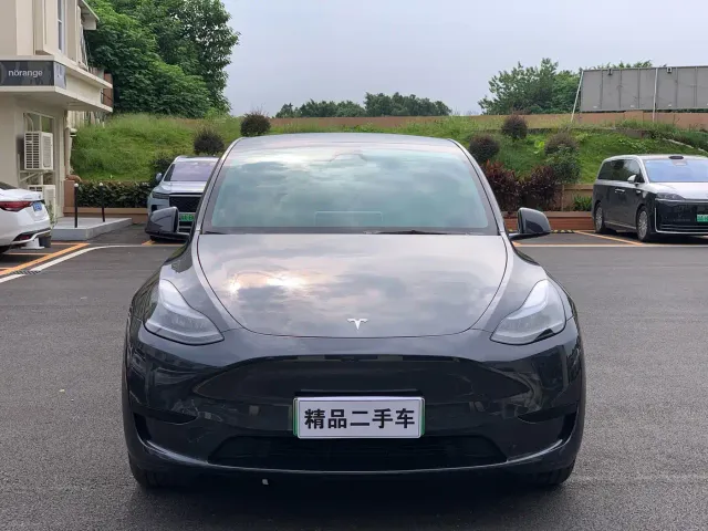 Tesla Model Y — Фото автомобиля 2