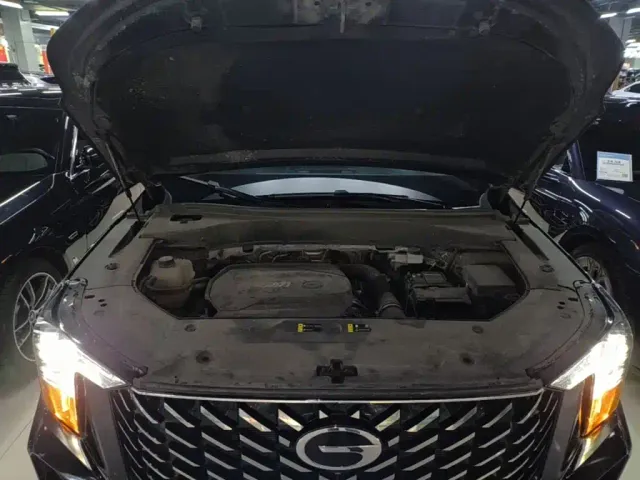 GAC Trumpchi GS8 — Фото автомобиля 19