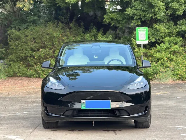 Tesla Model Y — Фото автомобиля 2