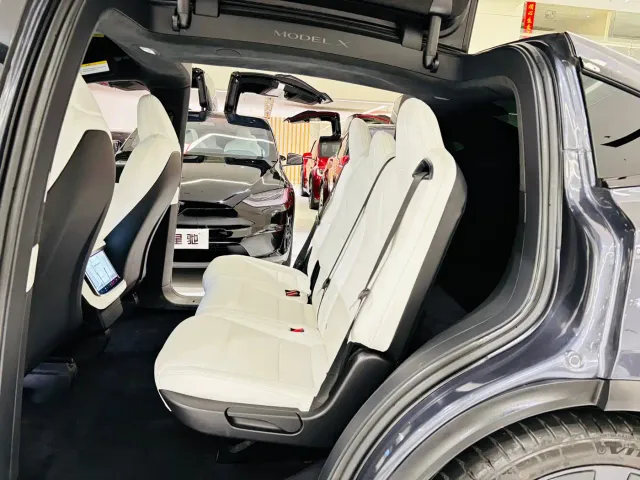 Tesla Model X 2023 Dual Motor All-Wheel Drive Edition — Фото автомобиля 19