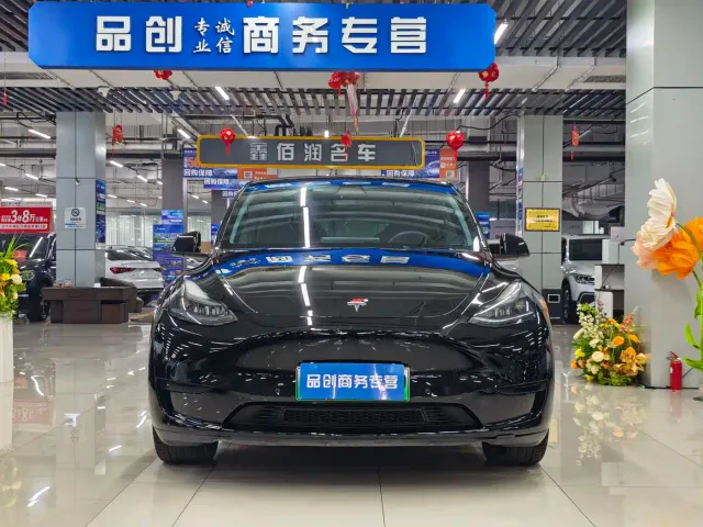 Tesla Model Y — Фото автомобиля 2