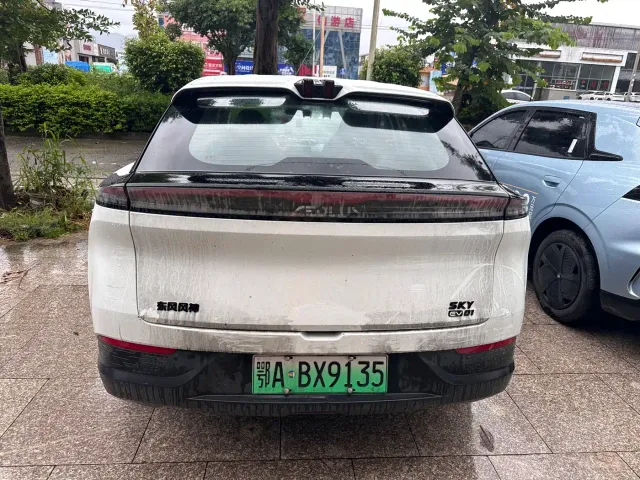 Dongfeng SKY EV01 — Фото автомобиля 7