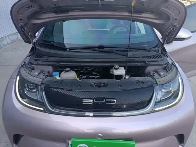 BYD Dolphin — Фото автомобиля 19