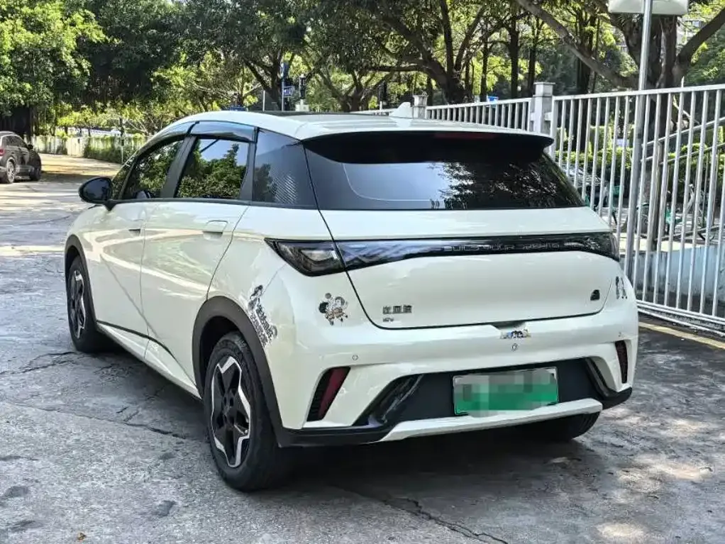 BYD Dolphin 2021 Model 405km Fashion Edition — Фото автомобиля 5