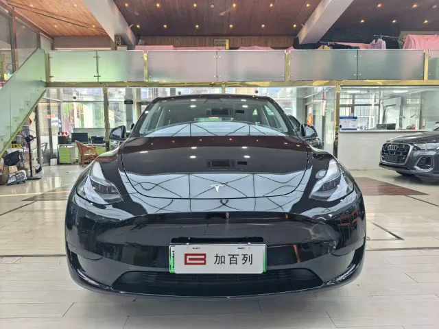 Tesla Model Y — Фото автомобиля 2