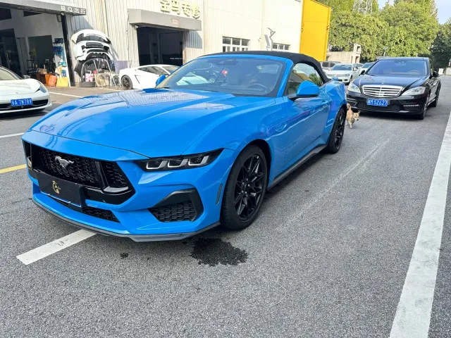 Ford Mustang — Фото автомобиля 3
