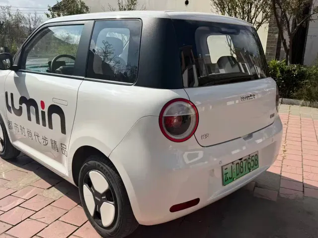 Changan Lumin — Фото автомобиля 9