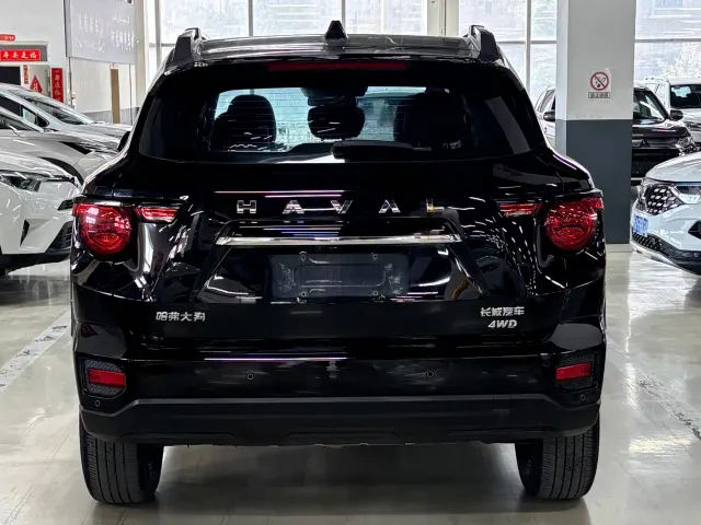 Haval Big Dog — Фото автомобиля 14