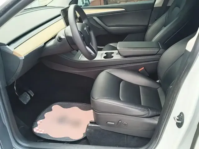 Tesla Model Y — Фото автомобиля 14
