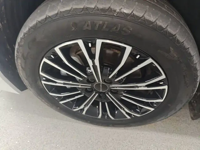 Forthing Xinghai V9 — Фото автомобиля 22
