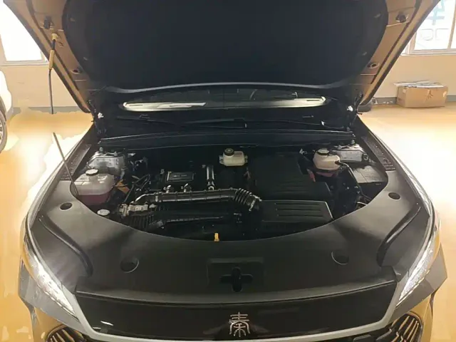 BYD Qin PLUS — Фото автомобиля 19