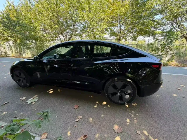 Tesla Model 3 — Фото автомобиля 15