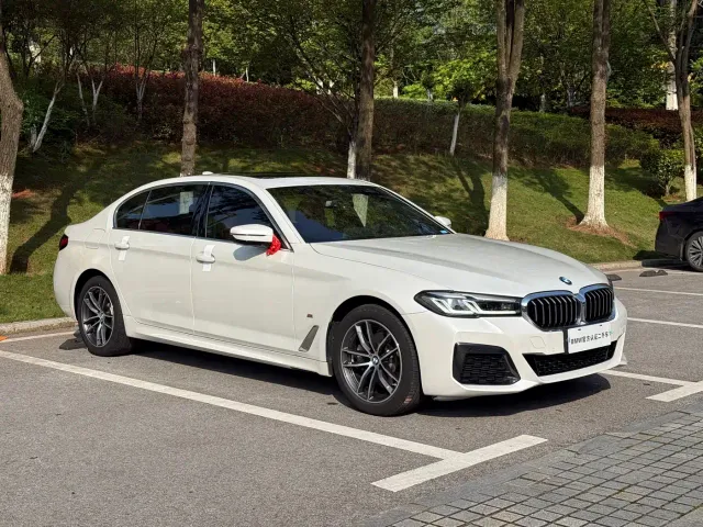 BMW 5 Series — Фото автомобиля 3