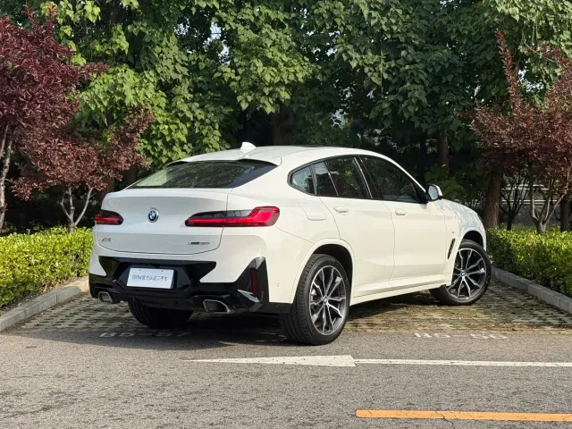 BMW X4 — Фото автомобиля 4