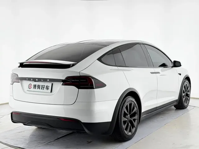 Tesla Model X — Фото автомобиля 12