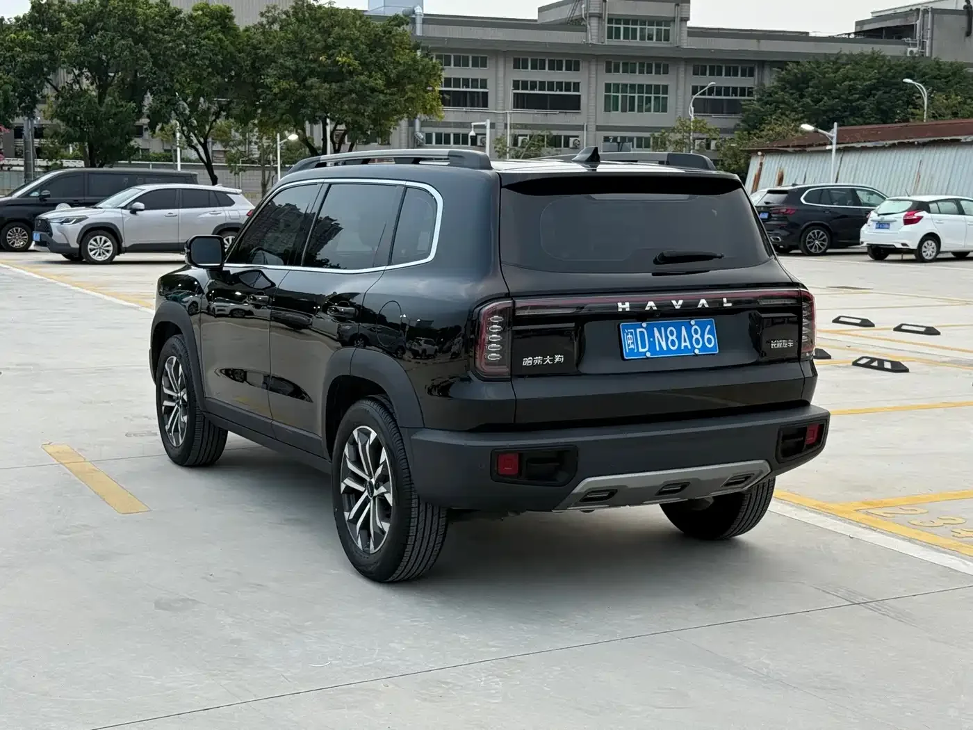 Haval Haval Big Dog 2024 1.5T DCT Border Collie Edition — Фото автомобиля 4