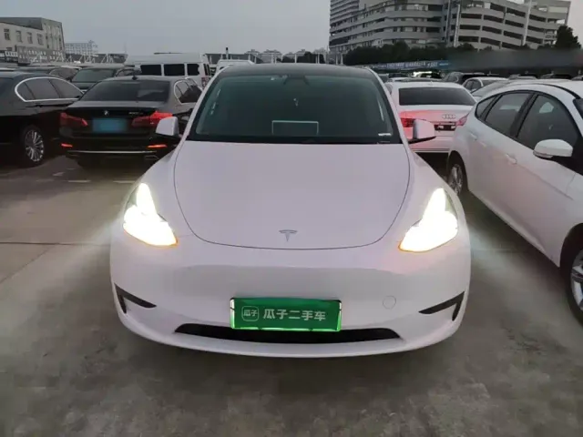Tesla Model Y — Фото автомобиля 2