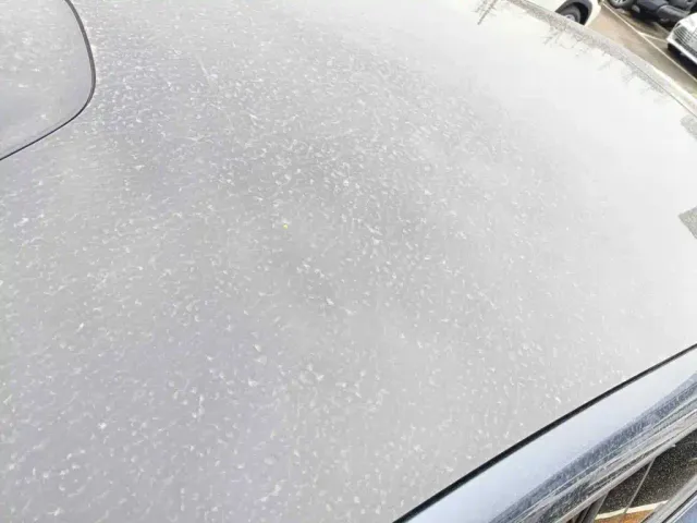 Nissan NX8 — Фото автомобиля 6