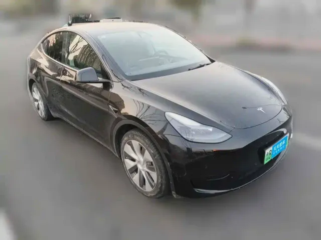 Tesla Model Y — Фото автомобиля 3