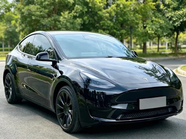 Tesla Model Y — Фото автомобиля 3