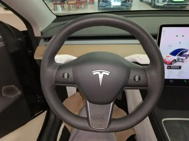 Tesla Model Y — Фото автомобиля 10