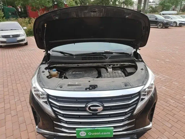 GAC Trumpchi M8 — Фото автомобиля 19