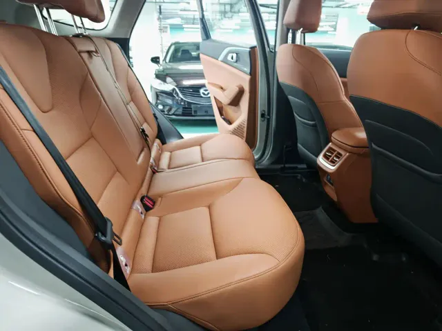 Haval Xiaolong MAX — Фото автомобиля 10