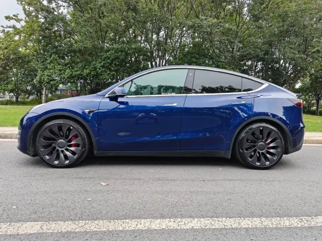 Tesla Model Y — Фото автомобиля 3