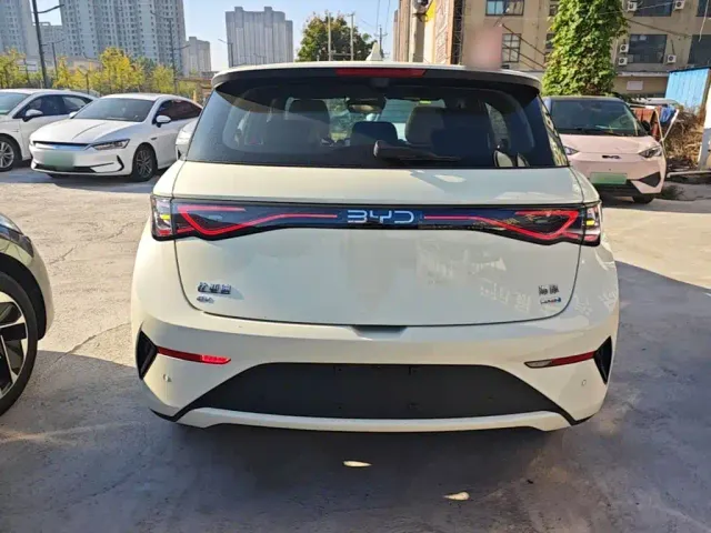 BYD Dolphin — Фото автомобиля 5