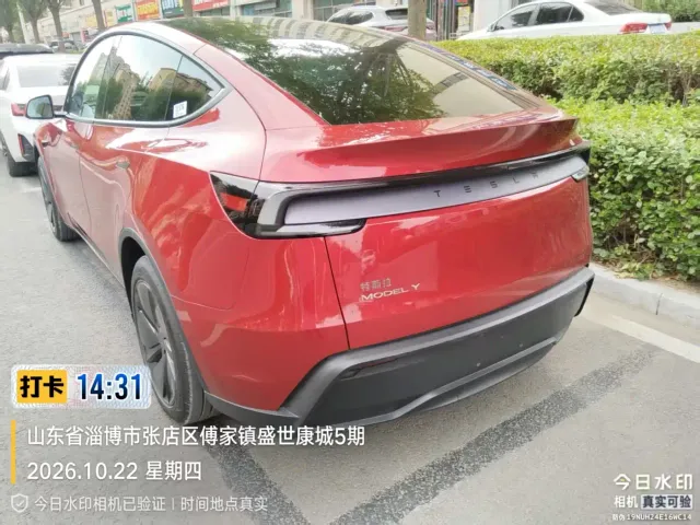 Tesla Model Y — Фото автомобиля 6