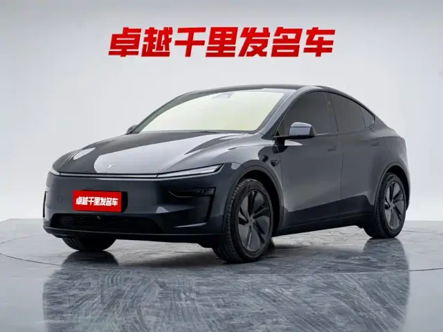 Tesla Model Y — Фото автомобиля 2