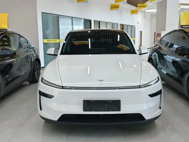 Tesla Model Y — Фото автомобиля 2