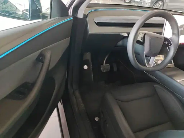 Tesla Model Y — Фото автомобиля 15