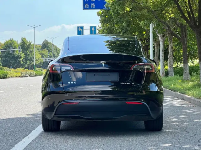 Tesla Model Y — Фото автомобиля 4