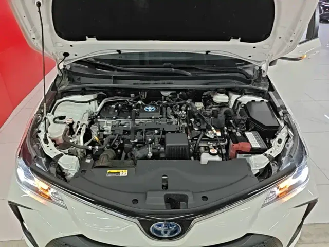Toyota Corolla — Фото автомобиля 19