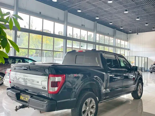 Ford F-150 Raptor — Фото автомобиля 3
