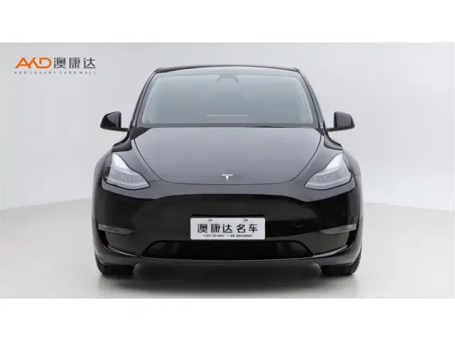 Tesla Model Y — Фото автомобиля 2