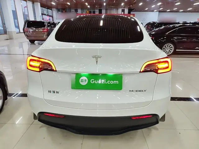 Tesla Model Y — Фото автомобиля 5