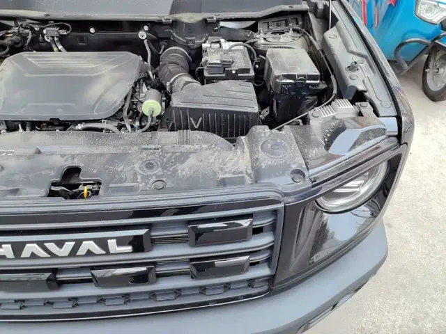 Haval Big Dog — Фото автомобиля 21
