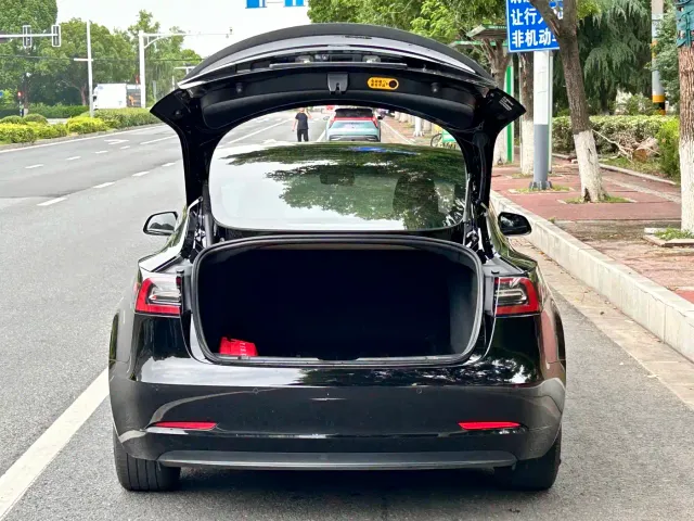 Tesla Model 3 — Фото автомобиля 19