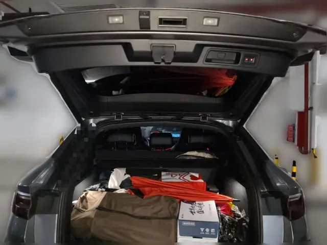 BYD Song PLUS — Фото автомобиля 20