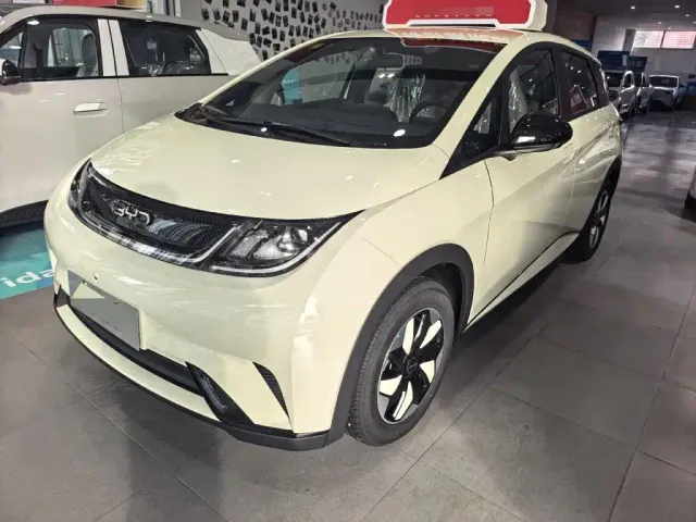 Фотография автомобиля — BYD Dolphin