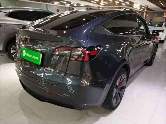 Tesla Model Y — Фото автомобиля 6