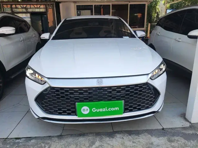 BYD Qin PLUS — Фото автомобиля 2