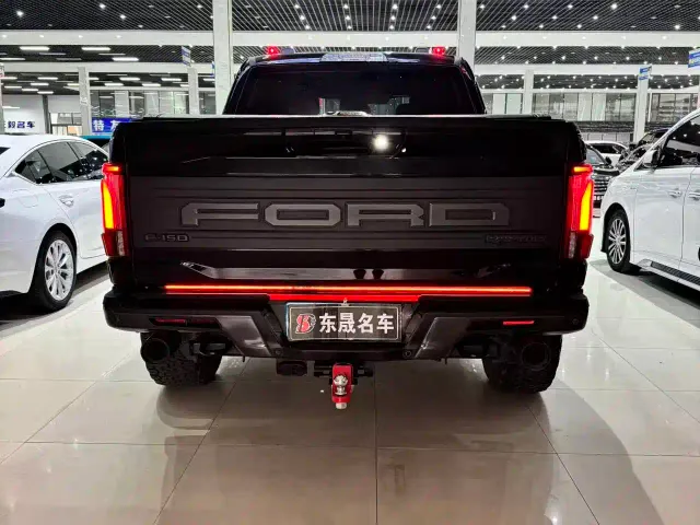 Ford F-150 Raptor — Фото автомобиля 5