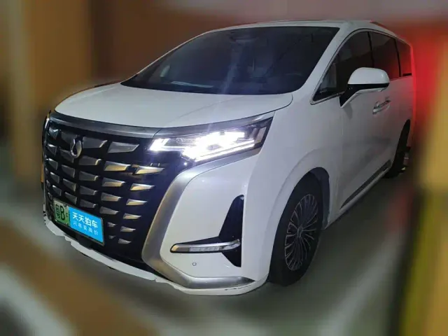 Фотография автомобиля — Denza D9